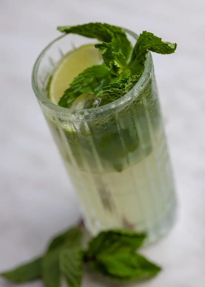 Kolo Mojito